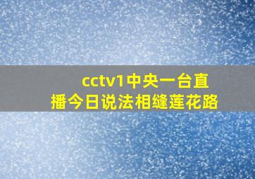 cctv1中央一台直播今日说法相缝莲花路