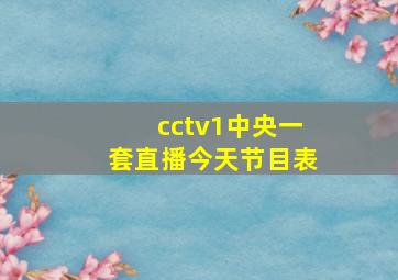 cctv1中央一套直播今天节目表