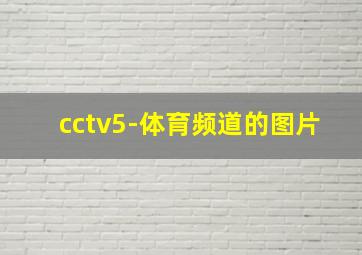 cctv5-体育频道的图片