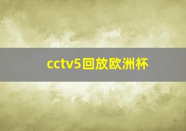 cctv5回放欧洲杯