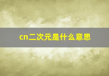 cn二次元是什么意思