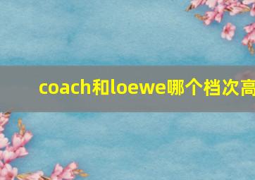 coach和loewe哪个档次高