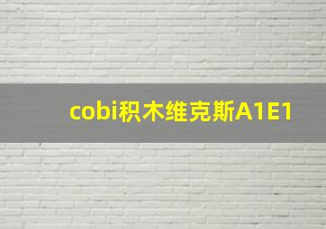 cobi积木维克斯A1E1