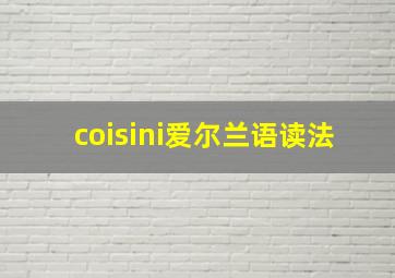 coisini爱尔兰语读法