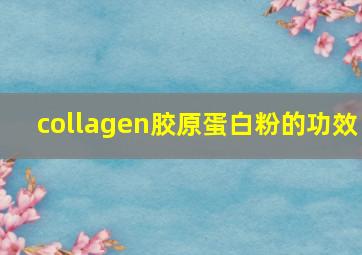 collagen胶原蛋白粉的功效