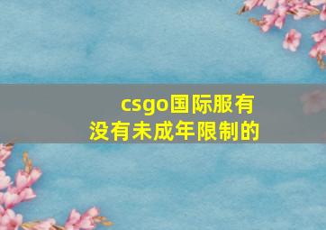 csgo国际服有没有未成年限制的