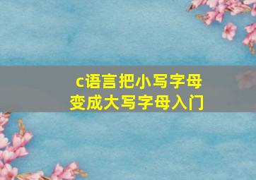 c语言把小写字母变成大写字母入门