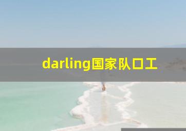 darling国家队口工