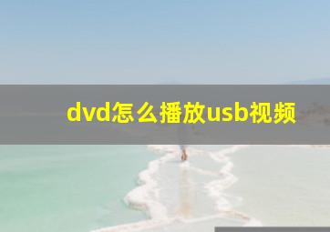 dvd怎么播放usb视频