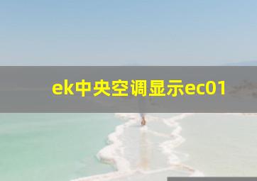 ek中央空调显示ec01