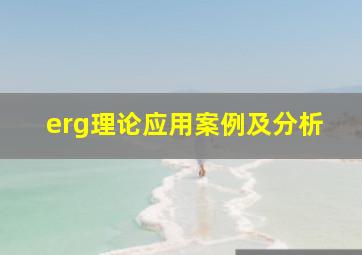 erg理论应用案例及分析