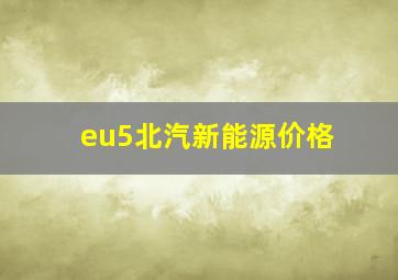 eu5北汽新能源价格