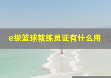 e级篮球教练员证有什么用