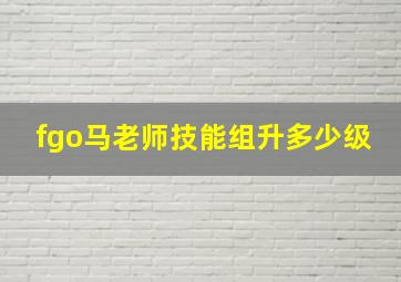 fgo马老师技能组升多少级