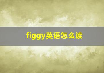 figgy英语怎么读