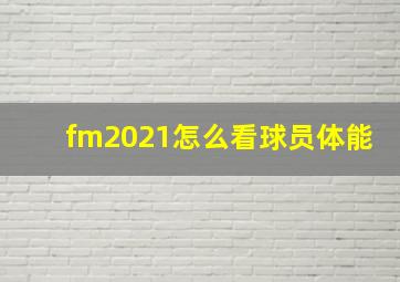 fm2021怎么看球员体能