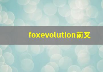 foxevolution前叉