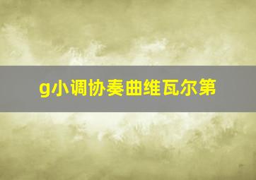 g小调协奏曲维瓦尔第