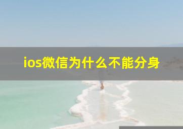 ios微信为什么不能分身