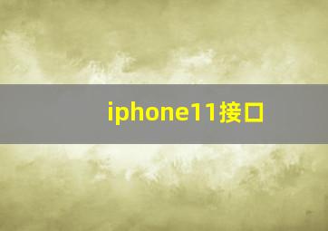 iphone11接口