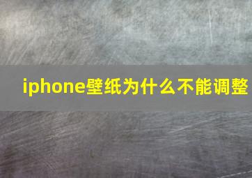 iphone壁纸为什么不能调整