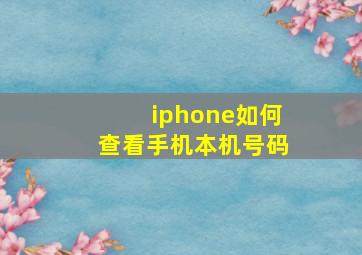 iphone如何查看手机本机号码