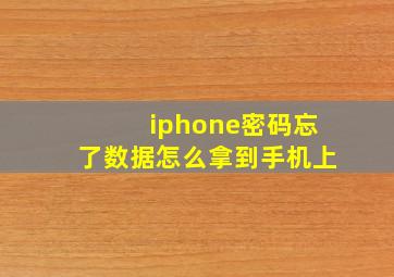 iphone密码忘了数据怎么拿到手机上