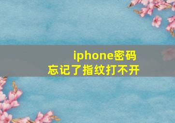 iphone密码忘记了指纹打不开