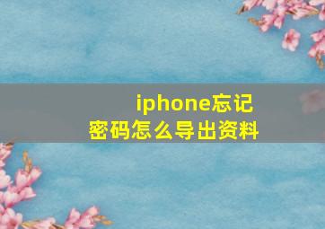 iphone忘记密码怎么导出资料