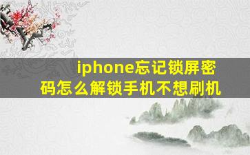 iphone忘记锁屏密码怎么解锁手机不想刷机