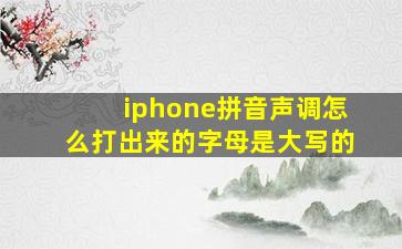 iphone拼音声调怎么打出来的字母是大写的