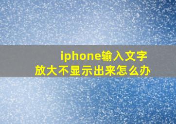 iphone输入文字放大不显示出来怎么办