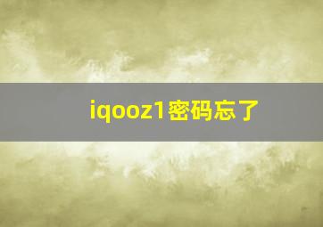 iqooz1密码忘了