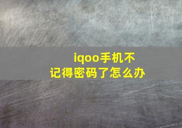 iqoo手机不记得密码了怎么办