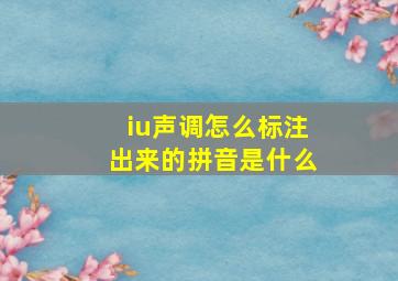 iu声调怎么标注出来的拼音是什么