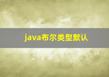 java布尔类型默认