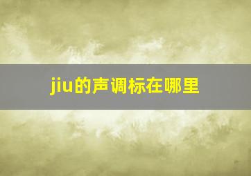 jiu的声调标在哪里