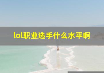 lol职业选手什么水平啊