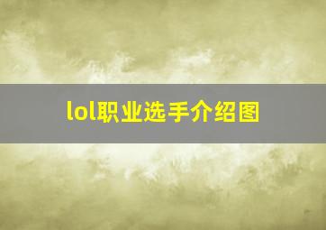 lol职业选手介绍图