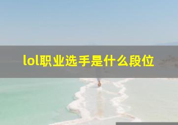 lol职业选手是什么段位