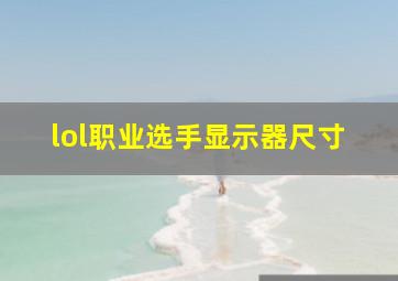 lol职业选手显示器尺寸