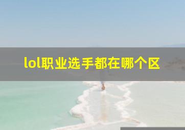 lol职业选手都在哪个区