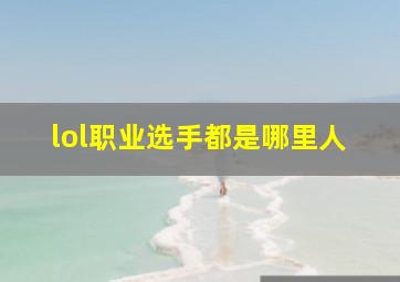 lol职业选手都是哪里人