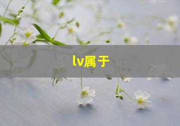 lv属于