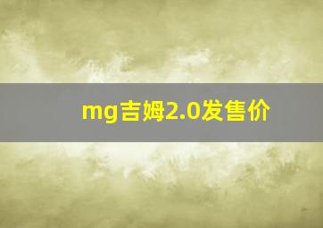 mg吉姆2.0发售价