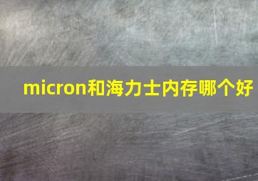 micron和海力士内存哪个好