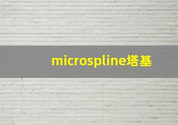 microspline塔基