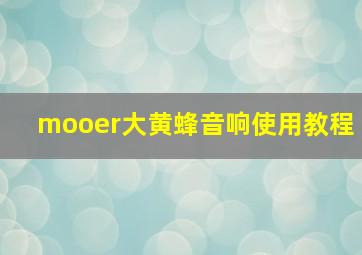 mooer大黄蜂音响使用教程