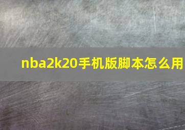 nba2k20手机版脚本怎么用