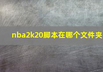 nba2k20脚本在哪个文件夹